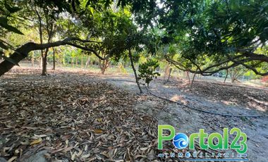 En venta finca productiva con excelente ubicacion