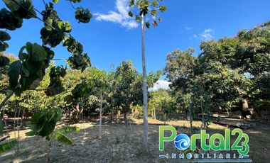 En venta finca productiva con excelente ubicacion
