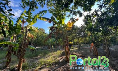 En venta finca productiva con excelente ubicacion