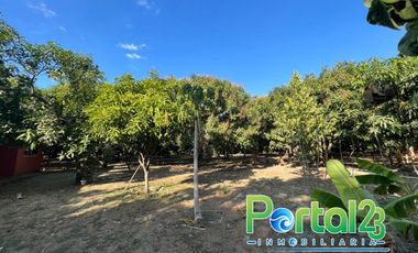 En venta finca productiva con excelente ubicacion