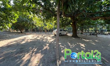 En venta finca productiva con excelente ubicacion