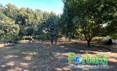 En venta finca productiva con excelente ubicacion