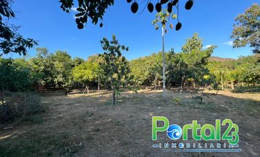 En venta finca productiva con excelente ubicacion