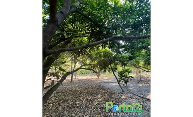 En venta finca productiva con excelente ubicacion