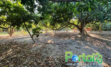 En venta finca productiva con excelente ubicacion