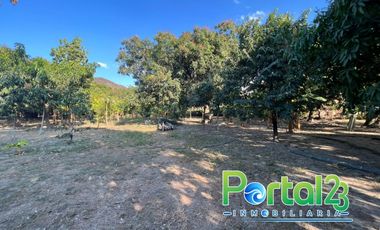 En venta finca productiva con excelente ubicacion