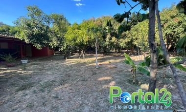 En venta finca productiva con excelente ubicacion