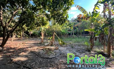 En venta finca productiva con excelente ubicacion