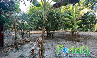En venta finca productiva con excelente ubicacion