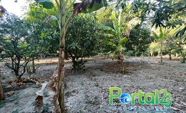 En venta finca productiva con excelente ubicacion