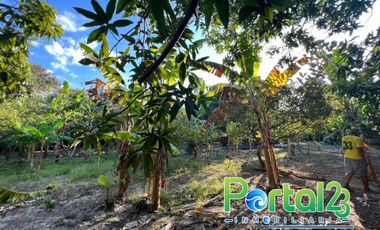 En venta finca productiva con excelente ubicacion