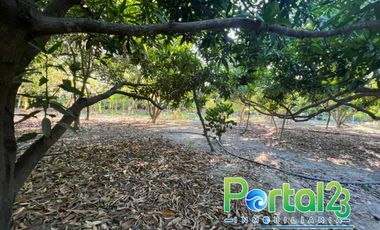 En venta finca productiva con excelente ubicacion