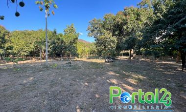 En venta finca productiva con excelente ubicacion