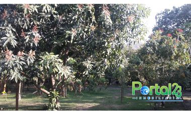 En venta finca productiva con excelente ubicacion