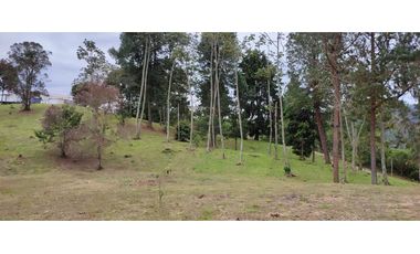 Lote en Venta en La Tablaza la Estrella