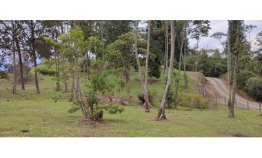 Lote en Venta en La Tablaza la Estrella