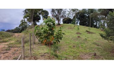 Lote en Venta en La Tablaza la Estrella