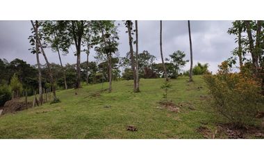 Lote en Venta en La Tablaza la Estrella