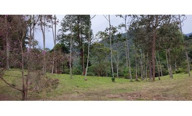 Lote en Venta en La Tablaza la Estrella