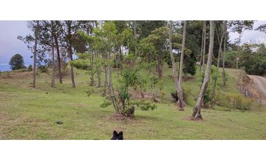Lote en Venta en La Tablaza la Estrella