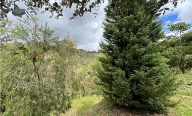 Casa Amoblada en Arriendo en El Retiro sector Pantanillo