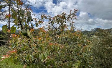 Casa Amoblada en Arriendo en El Retiro sector Pantanillo