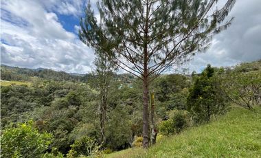 Casa Amoblada en Arriendo en El Retiro sector Pantanillo