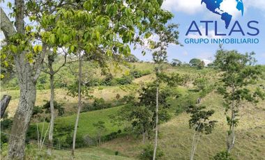 VENTA DE  FINCA EN LEBRIJA /SANTANDER COD:829