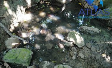 VENTA DE  FINCA EN LEBRIJA /SANTANDER COD:829