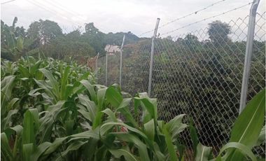 SE VENDE CASA CAMPESTRE CERCA  A QUIMBAYA AREA 3200 M2