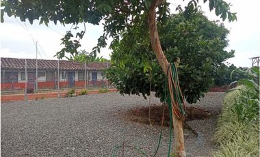 SE VENDE CASA CAMPESTRE CERCA  A QUIMBAYA AREA 3200 M2