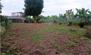 SE VENDE CASA CAMPESTRE CERCA  A QUIMBAYA AREA 3200 M2