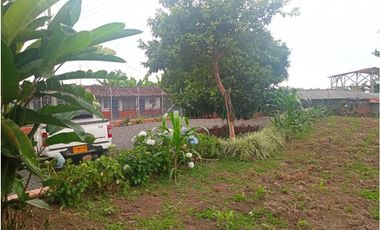 SE VENDE CASA CAMPESTRE CERCA  A QUIMBAYA AREA 3200 M2