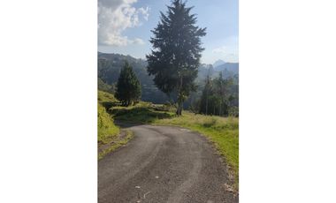 Venta Lote Caldas sector La Salada