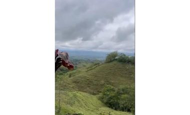 VENDO O ARRIENDO FINCA EN CERRITOS