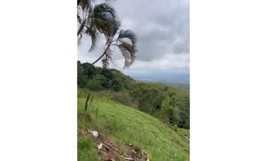VENDO O ARRIENDO FINCA EN CERRITOS