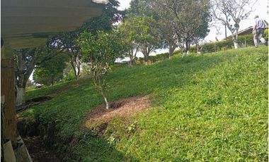 SE VENDE FINCA CON LAGOS EN ARABIA AREA