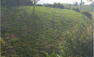 SE VENDE FINCA CON LAGOS EN ARABIA AREA