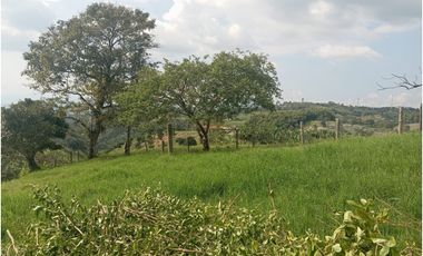 SE VENDE FINCA CON LAGOS EN ARABIA AREA