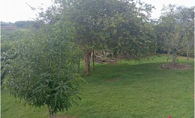 SE VENDE FINCA CON LAGOS EN ARABIA AREA