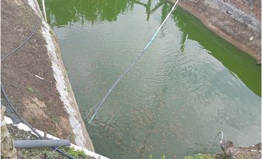 SE VENDE FINCA CON LAGOS EN ARABIA AREA