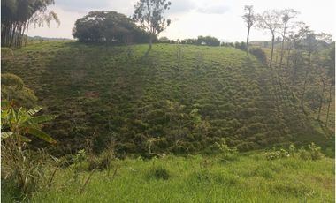 SE VENDE FINCA CON LAGOS EN ARABIA AREA