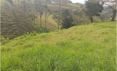 SE VENDE FINCA CON LAGOS EN ARABIA AREA