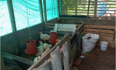 SE VENDE FINCA CON LAGOS EN ARABIA AREA