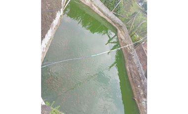 SE VENDE FINCA CON LAGOS EN ARABIA AREA