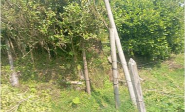 SE VENDE FINCA CON LAGOS EN ARABIA AREA