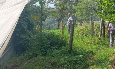 SE VENDE FINCA CON LAGOS EN ARABIA AREA