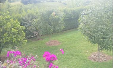 SE VENDE FINCA CON LAGOS EN ARABIA AREA