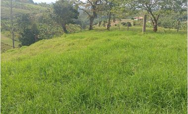 SE VENDE FINCA CON LAGOS EN ARABIA AREA