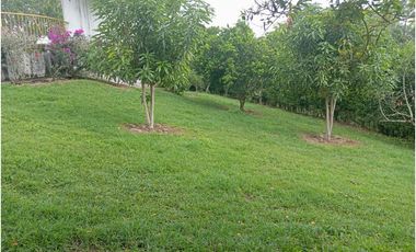 SE VENDE FINCA CON LAGOS EN ARABIA AREA